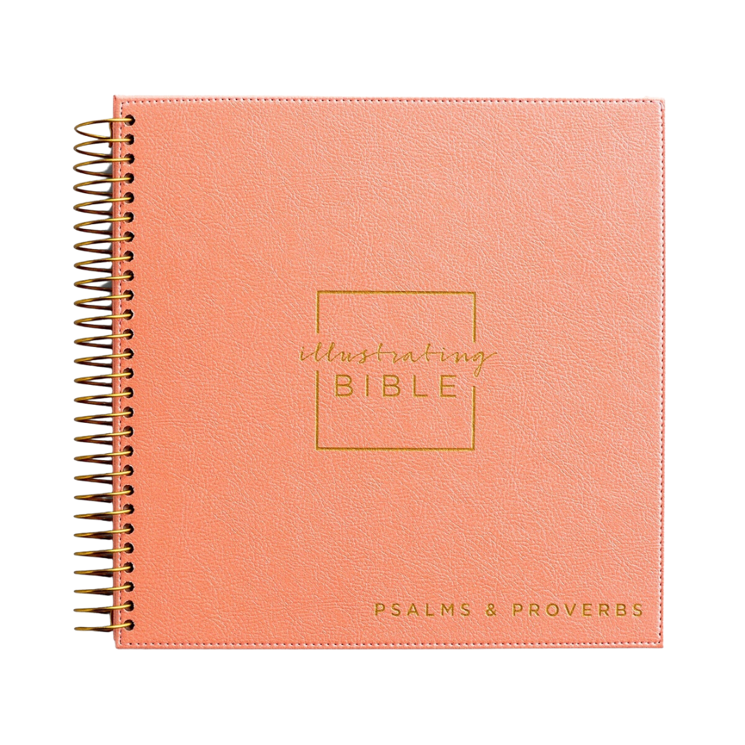 NIV Illustrating Bible, Psalms & Proverbs – King's Cross Bookstore